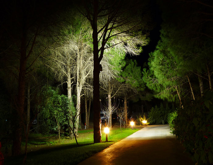 Ночная прогулка